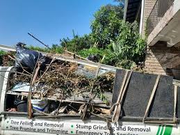 Best Hoarding Cleanup  in Anahola, HI